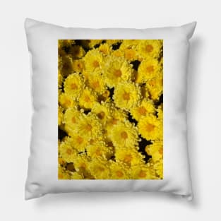 Mums yellow flowers Mother's day Pillow