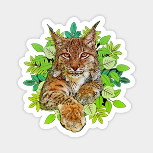 Bobcats wild cat freedom Magnet