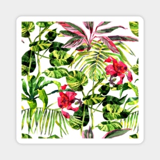 Tropical Background. watercolor tropical leaves and plants. Hand painted jungle greenery background Magnet