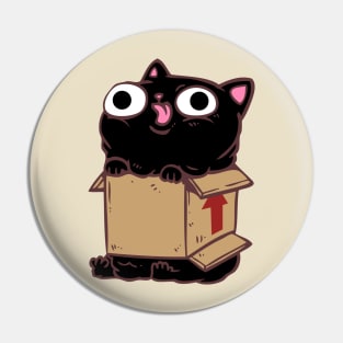 Cat In A Box Pin