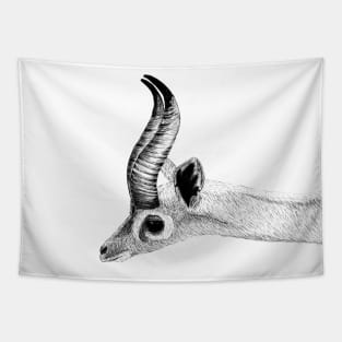 Souther Gerenuk Tapestry