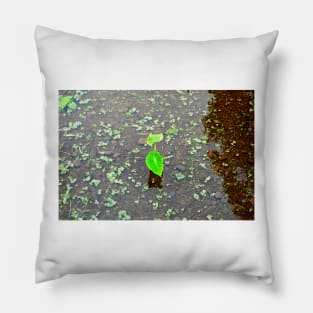 Iao Valley State Monument Study 4 Pillow