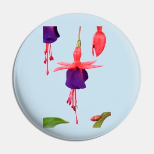 Fuchsia  FuchsiaBerry Pin