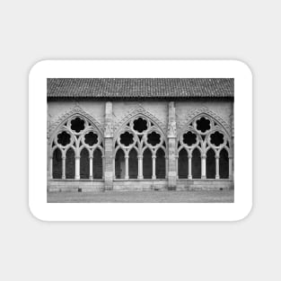 Gothic Arches Architecture Magnet