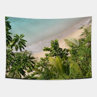 Palm Beach Tapestry