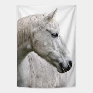 photo horse max Tapestry