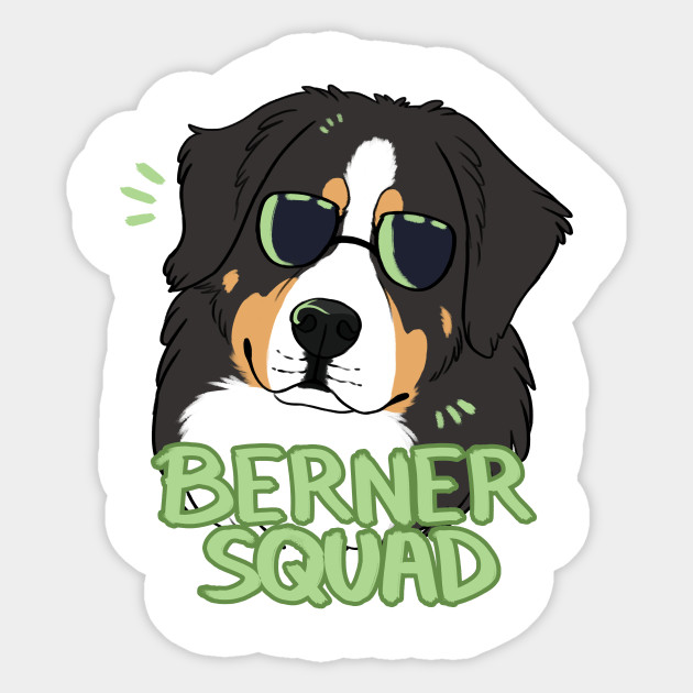 Bernese Mountain Dog Size Chart