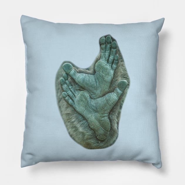 Molouch Gibbons feet Pillow by dalyndigaital2@gmail.com