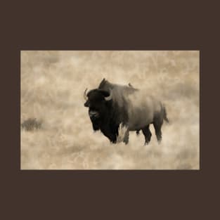 American Buffalo  -  Plains Bison T-Shirt