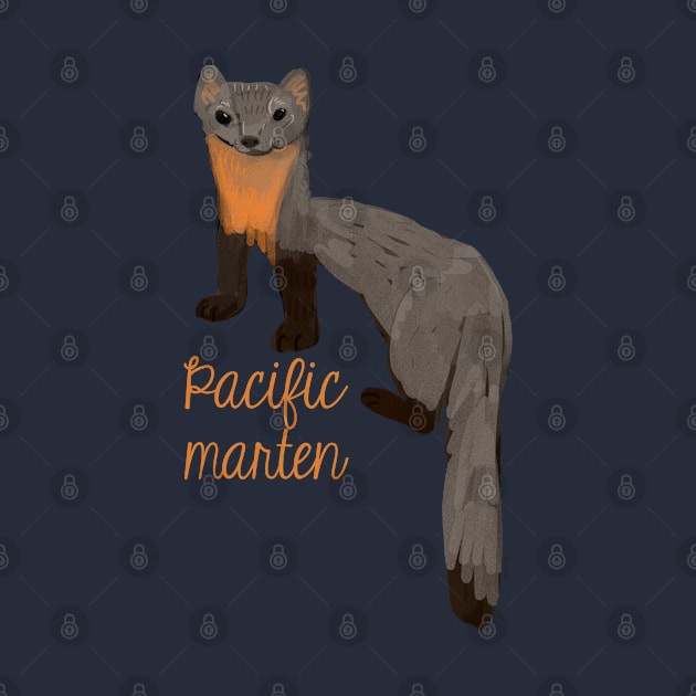 Pacific marten by belettelepink