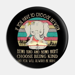 Being Kind Being Right Pin