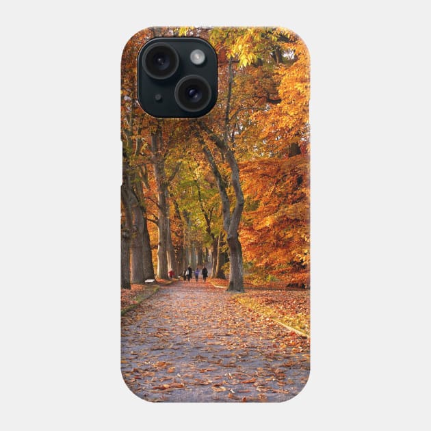 Autumn Phone Case by Lionik09