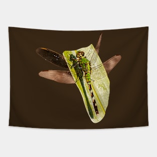 Dragonfly on a leaf Tapestry