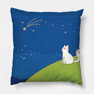 Make a Wish Pillow