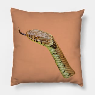 Speaking with a forked Tongue ! Pillow