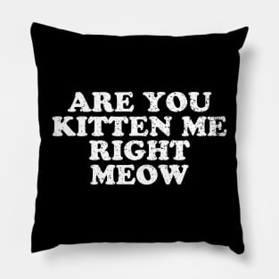 Are You Kitten Me Right Meow Pillow