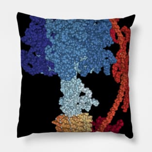 ATP synthase Pillow