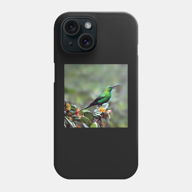 Gorgeous Malachite Sunbird | African Wildlife Phone Case by scotch