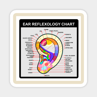 Reflexology Magnet