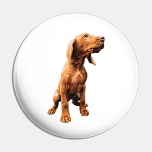 Vizsla Puppy - The Hungarian Vizsla Pin