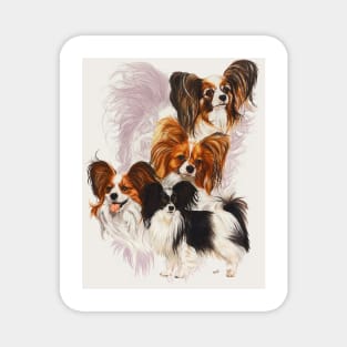 Papillon Medley Magnet