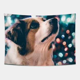 Australian Shepherd — Merry Christmas Tapestry