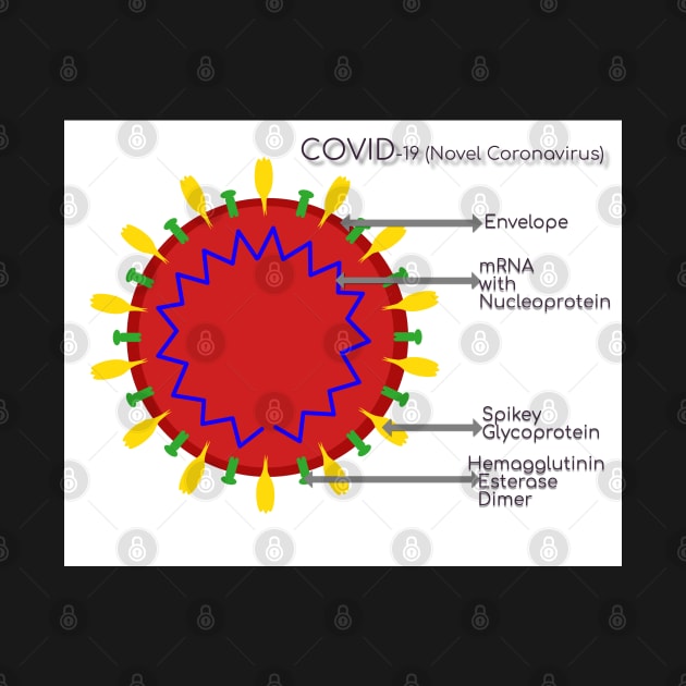 Structure of COVID 19 Novel Coronavirus, SARS COVID 2 with labels by ikshvaku