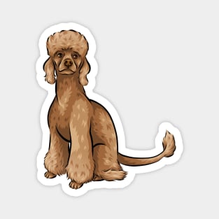 Cute Ginger Poodle Dog Magnet