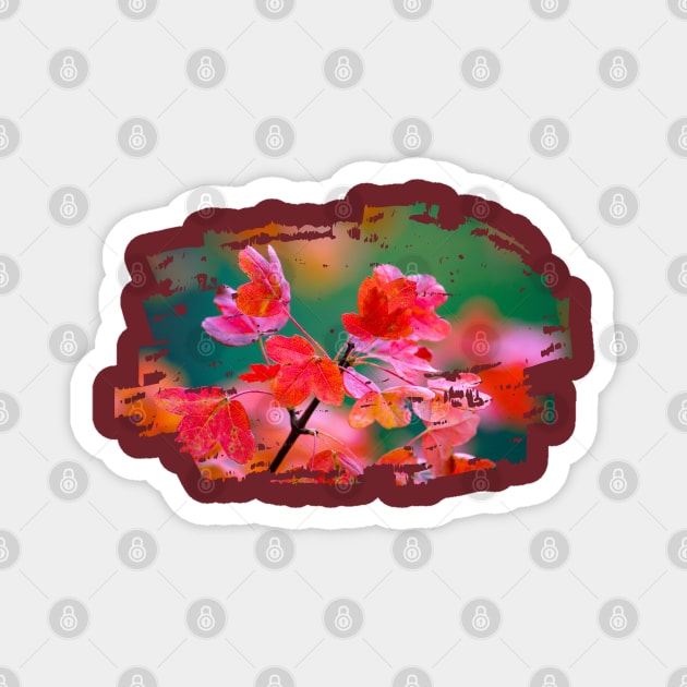 Autumn Pink Flowers Magnet by MINOUCHSTORE