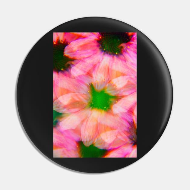 Pink echinacea Pin by karinelizabeth