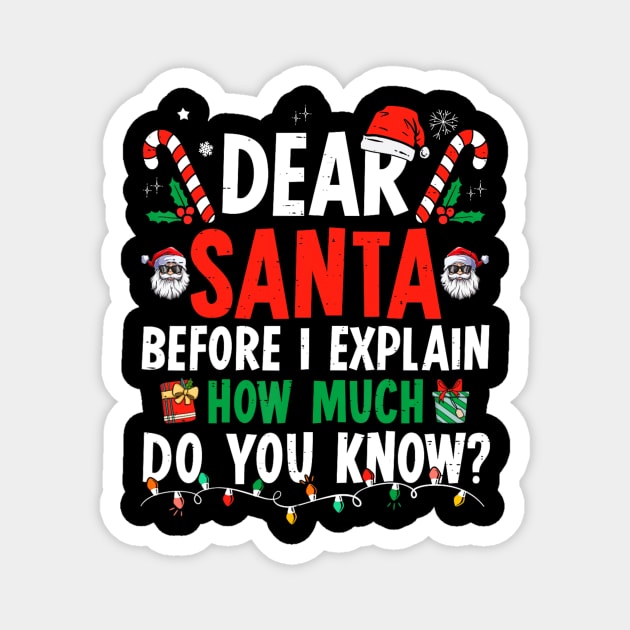 Dear Santa I Can Explain Funny Christmas Magnet by rivkazachariah