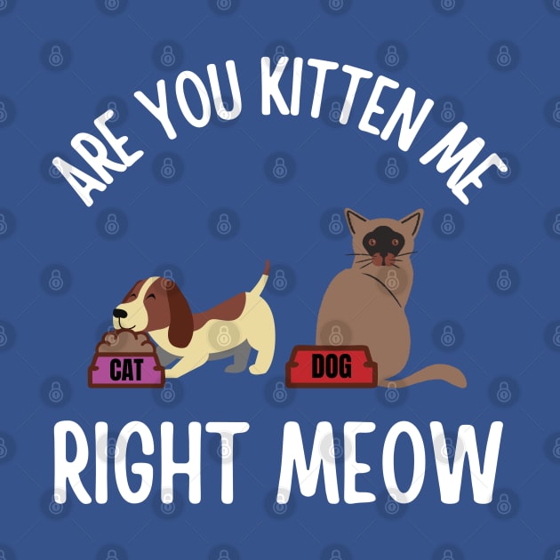 Are you Kitten me right Meow by InspiredCreative