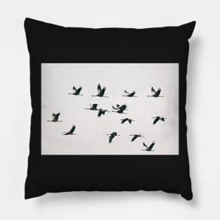 Migration - Fifteen Common Cranes Flying South Pillow