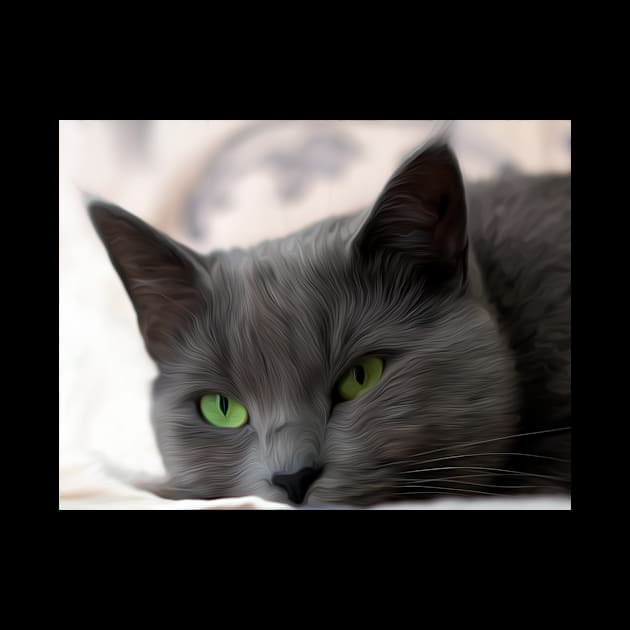 Sweet Gray Cat by Sandra Keller