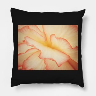 Begonia Blush Pillow