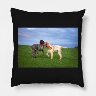 Sausage Wars Spinone Pillow