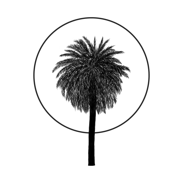 Phoenix canariensis by Bioshart