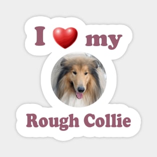 I Love My Rough Collie Magnet