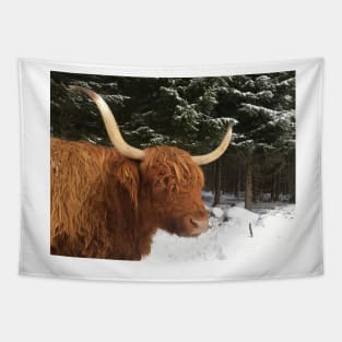 Scottish Highland Cattle Cow 2189 Tapestry