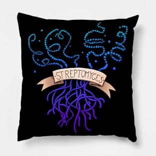 Streptomyces coelicolor Pillow