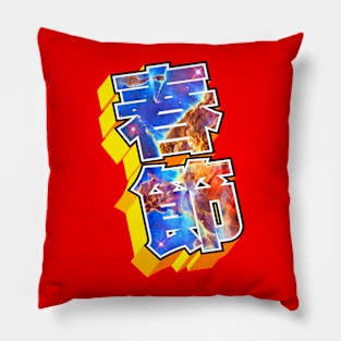 Spring Festival Pillow