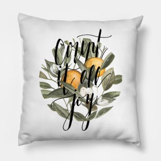 Count It All Joy Pillow