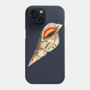 Shell Hand Drawn Phone Case