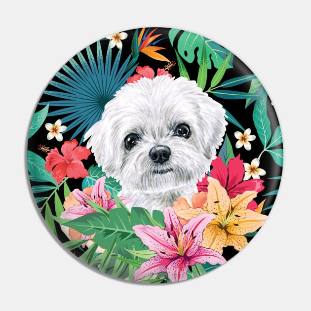 Tropical Maltese Dog 1 Pin by LulululuPainting