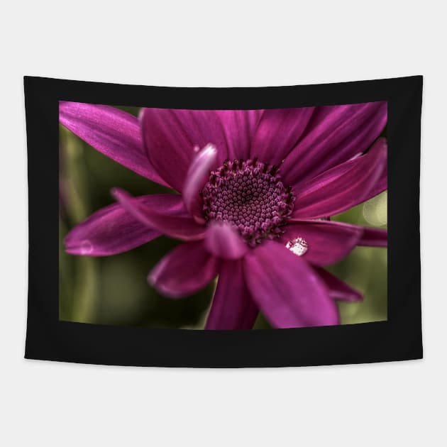 Senetti Water Droplet Tapestry by axp7884