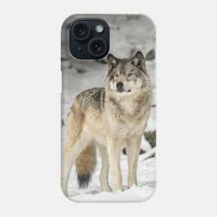 Timber Wolf Phone Case