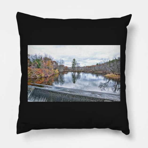 Splendid Reservoir Pillow by BeanME