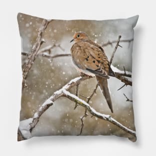 Mourning Dove Pillow