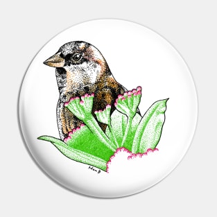 Peek-a-Boo!  (House Sparrow) Pin