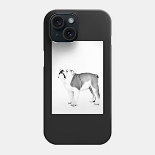 little dog looking up Phone Case